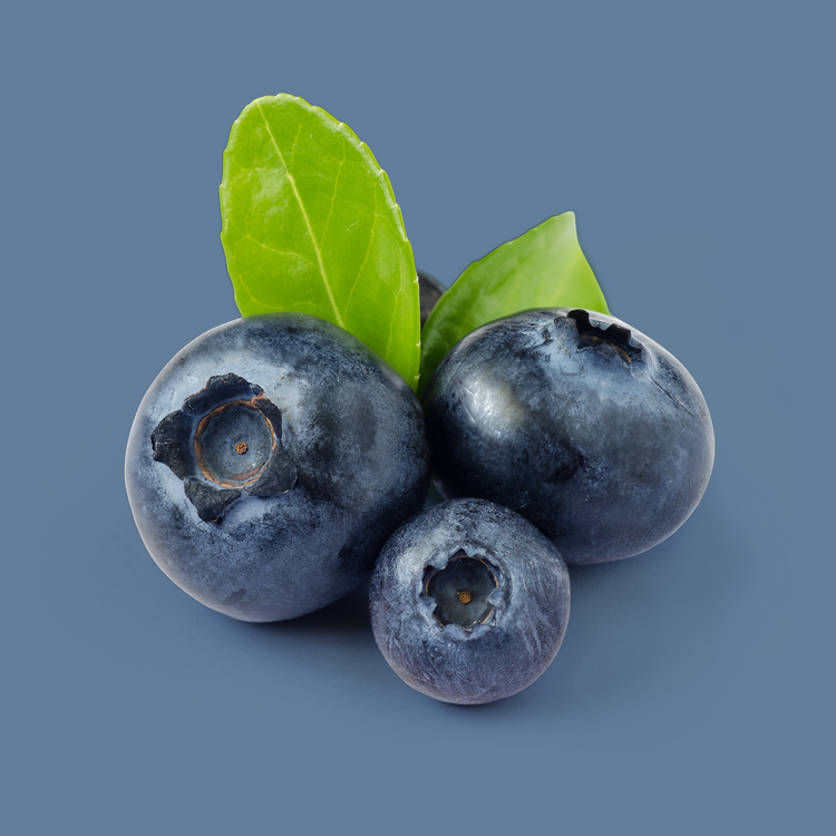 Blueberry almond lemon / 4 Maaltijden (Multipack)