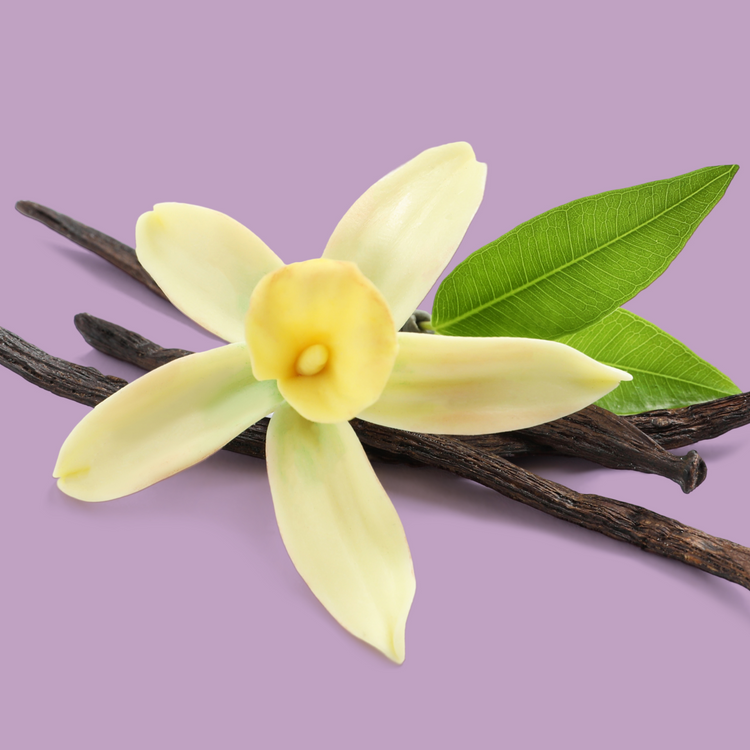 Vanilla spice / 4 Maaltijden (Multipack)
